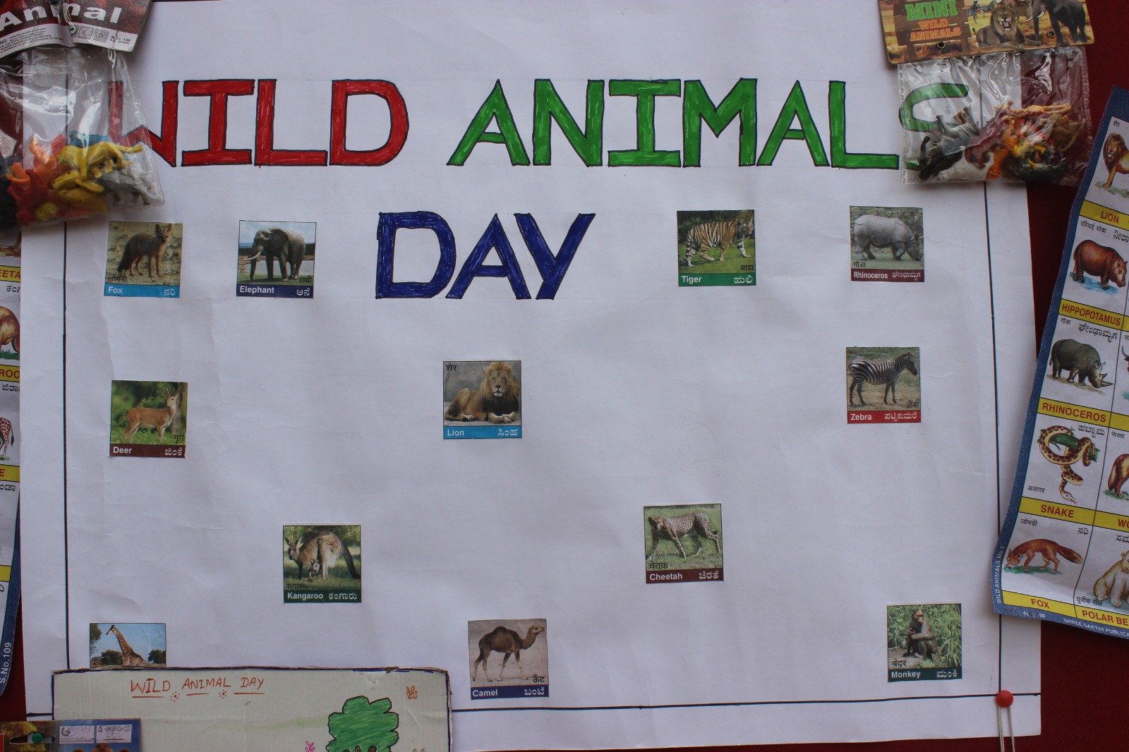 Read more about the article Wild Animals Day