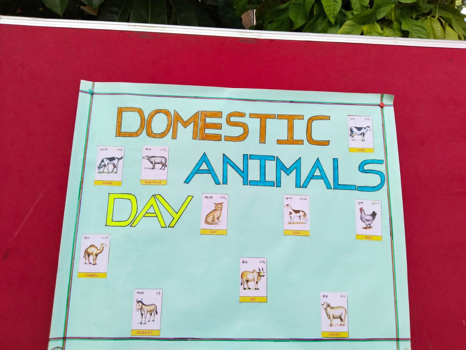 Read more about the article Domestic Animals Day