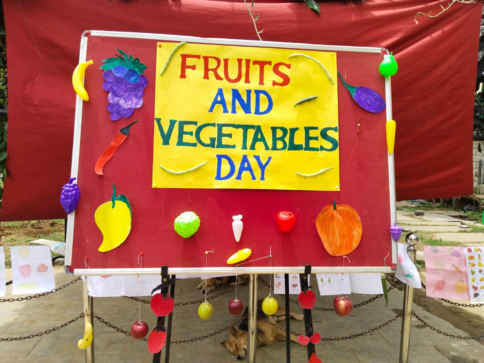 Read more about the article Fruits and Vegetables Day