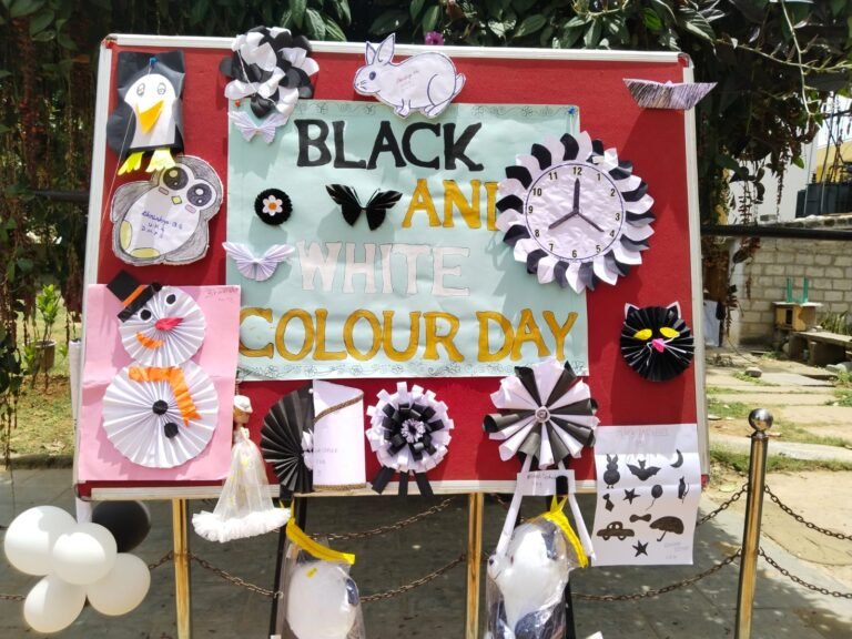 Read more about the article Black and White Colour Day